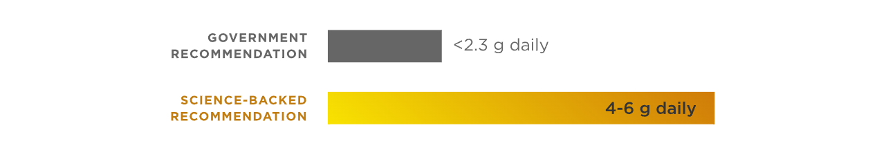  lmntfuel.com
