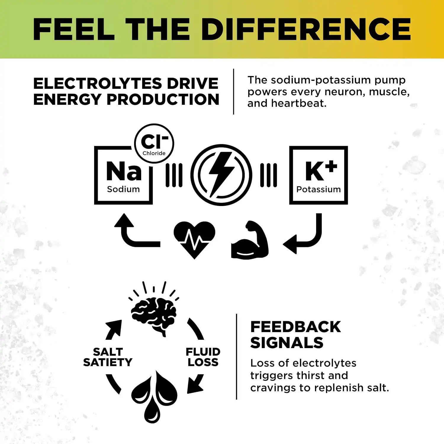  lmntfuel.com