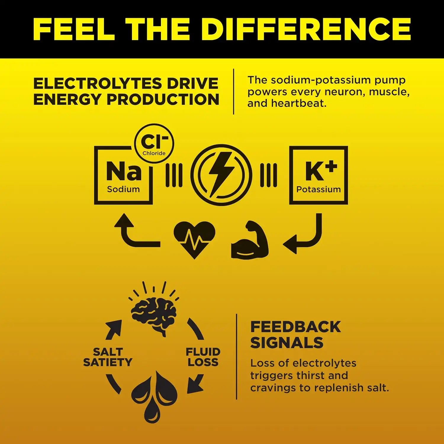  lmntfuel.com