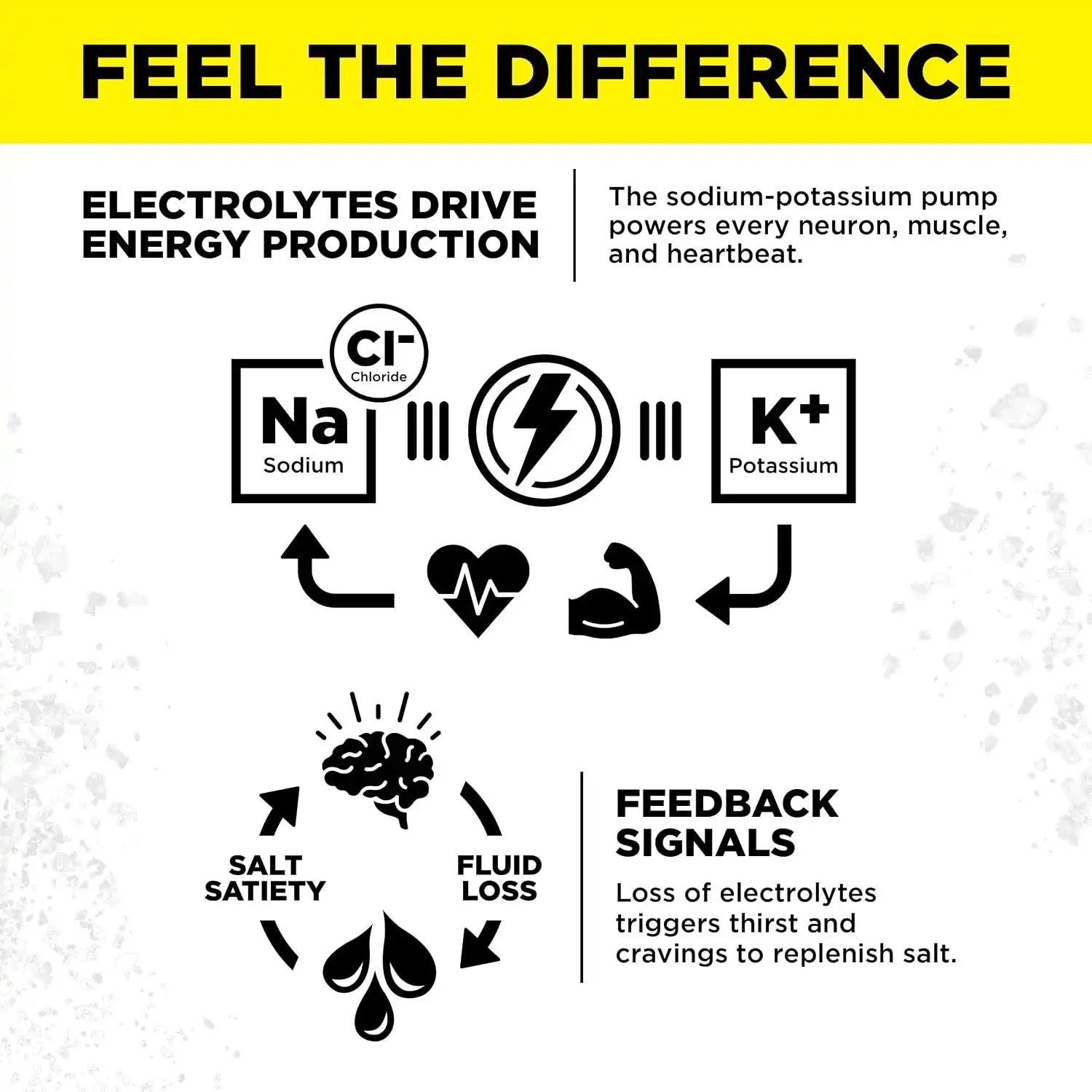  lmntfuel.com