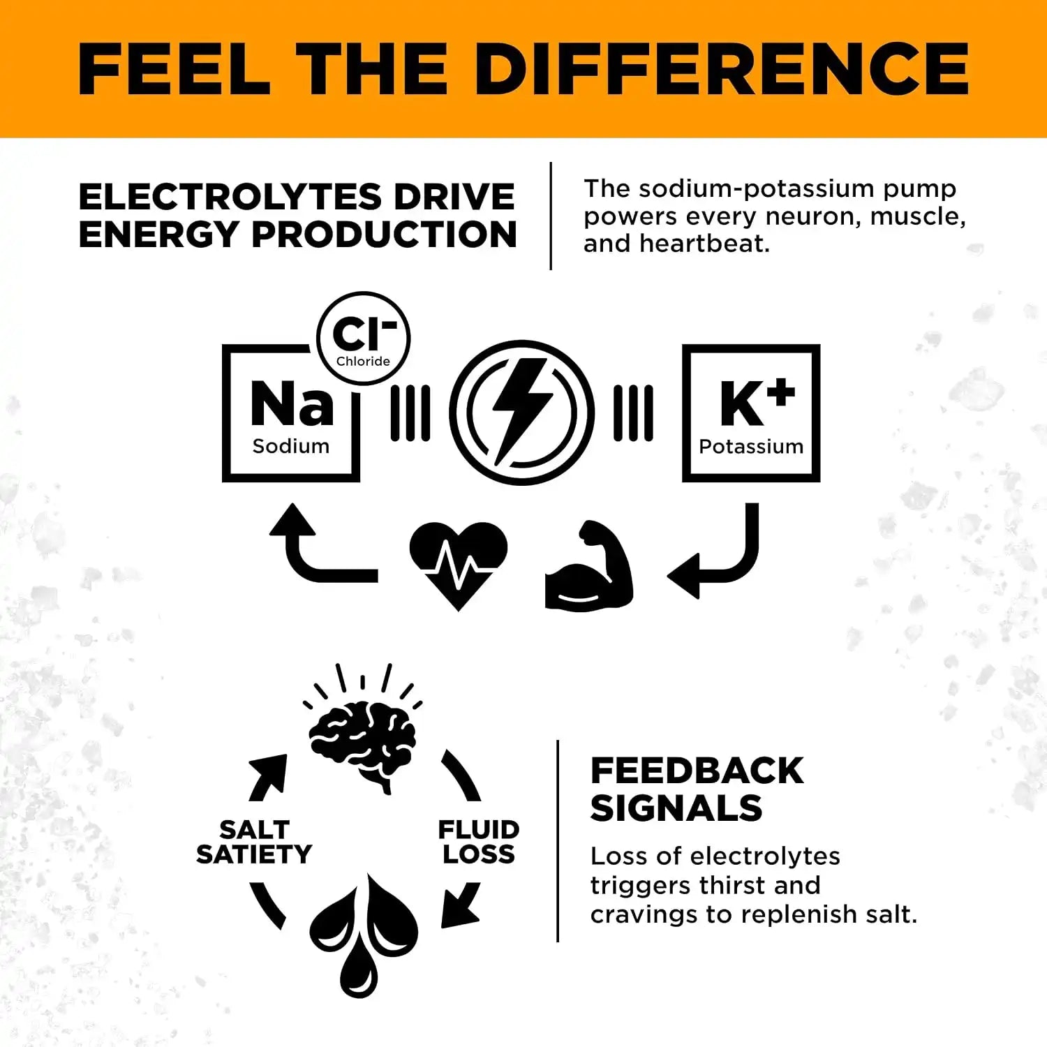  lmntfuel.com