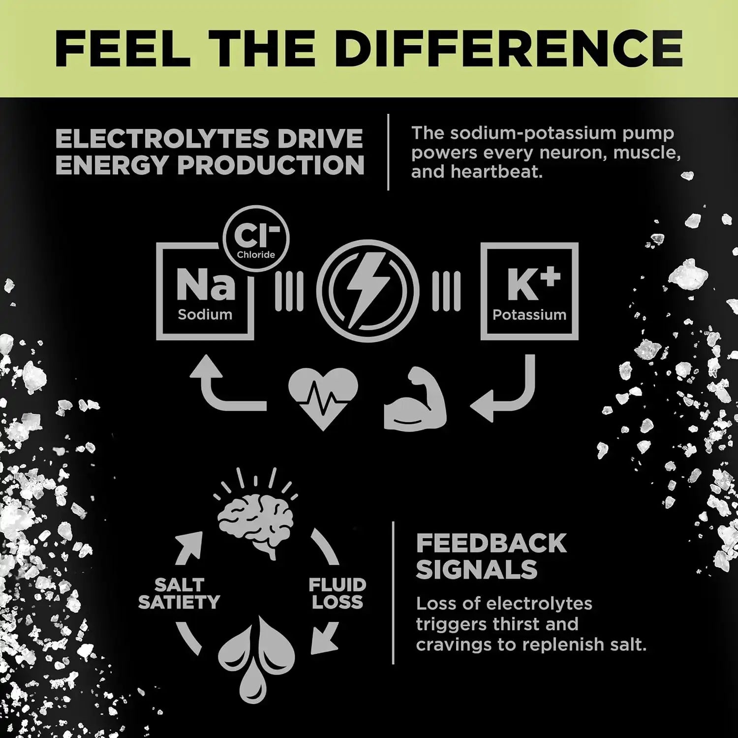  lmntfuel.com