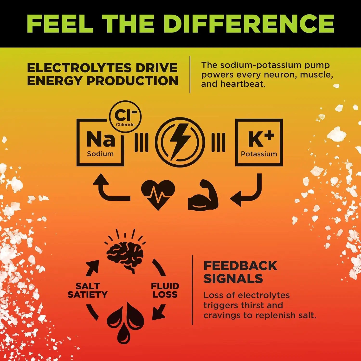  lmntfuel.com