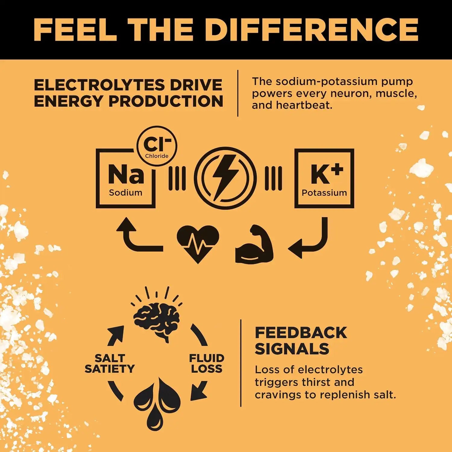  lmntfuel.com