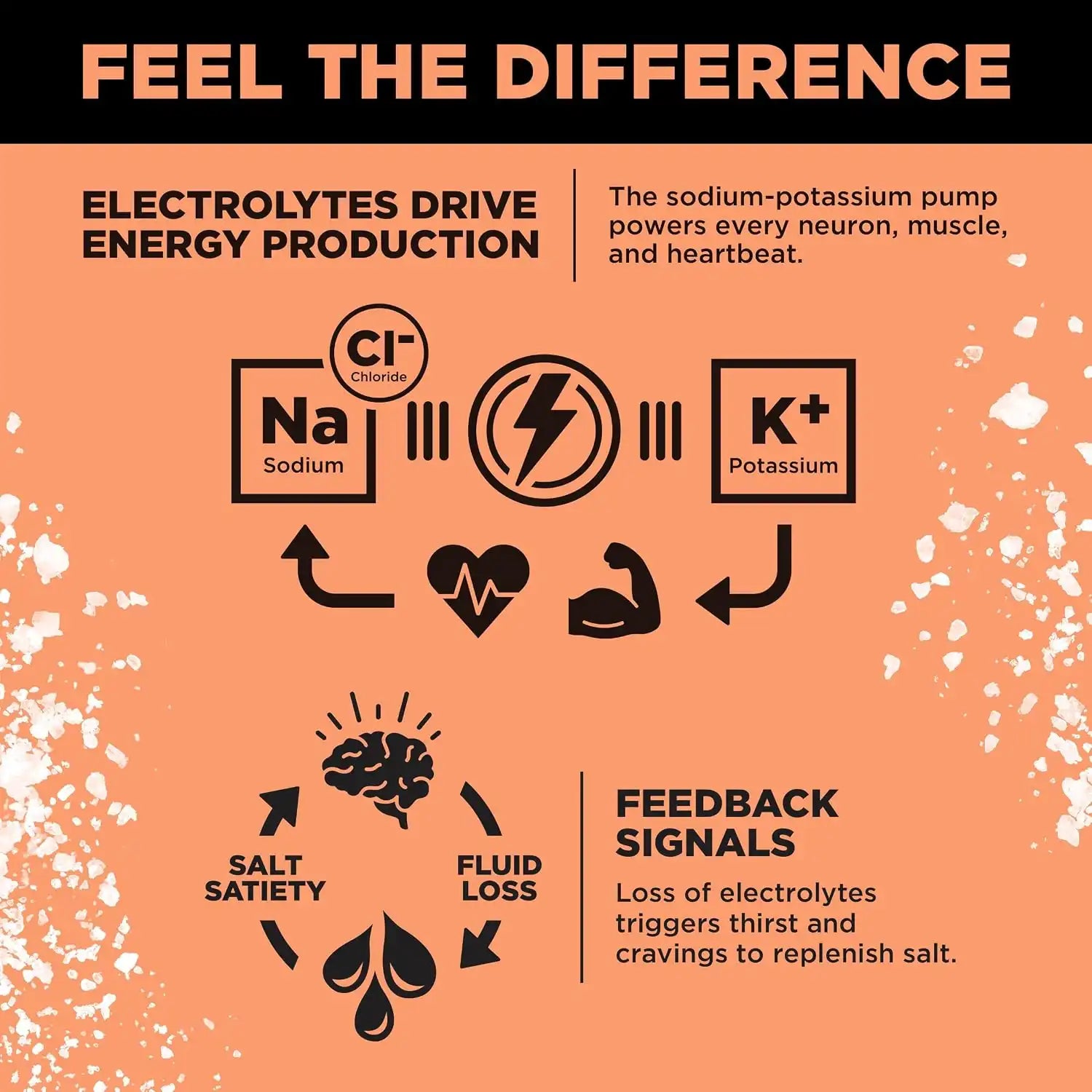  lmntfuel.com