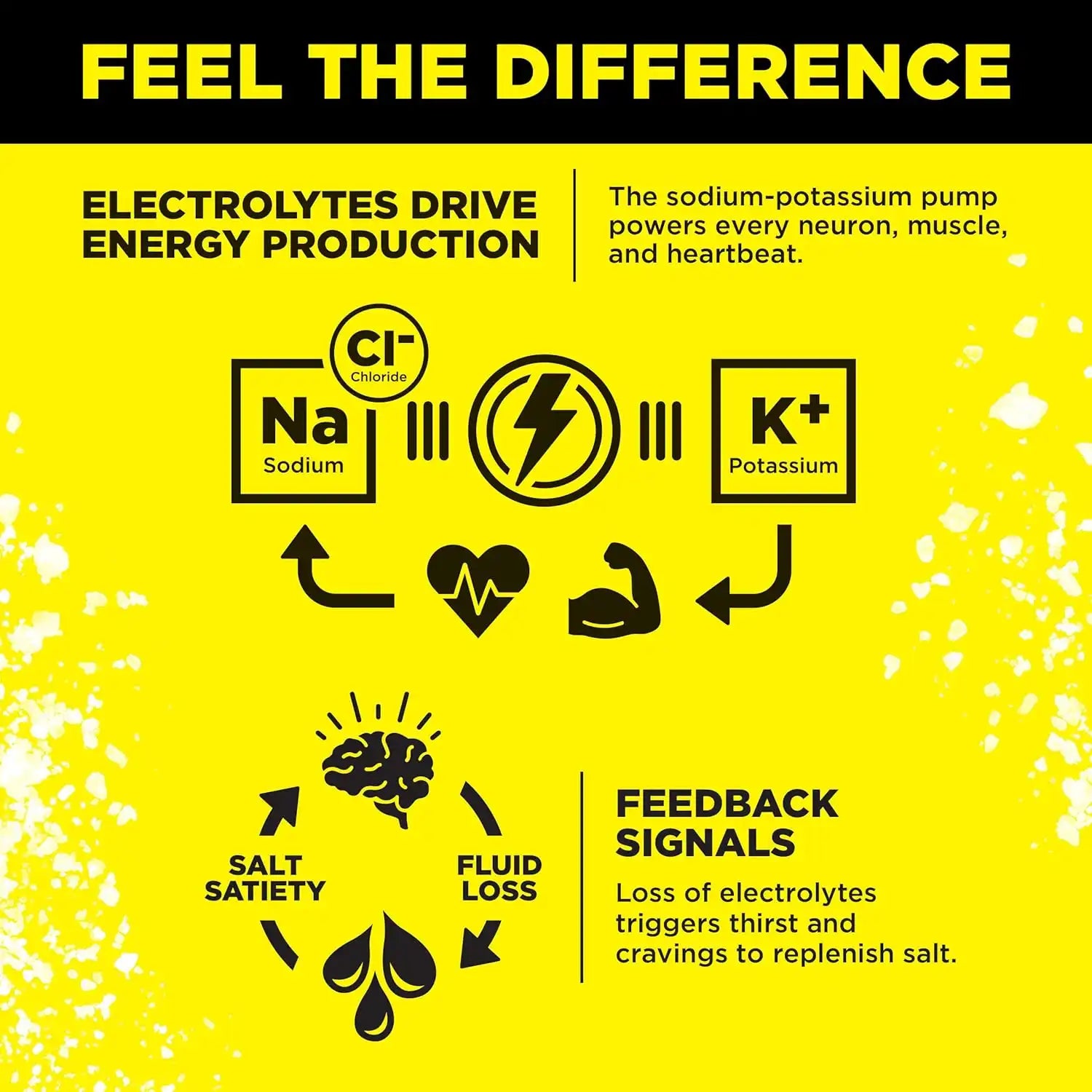  lmntfuel.com