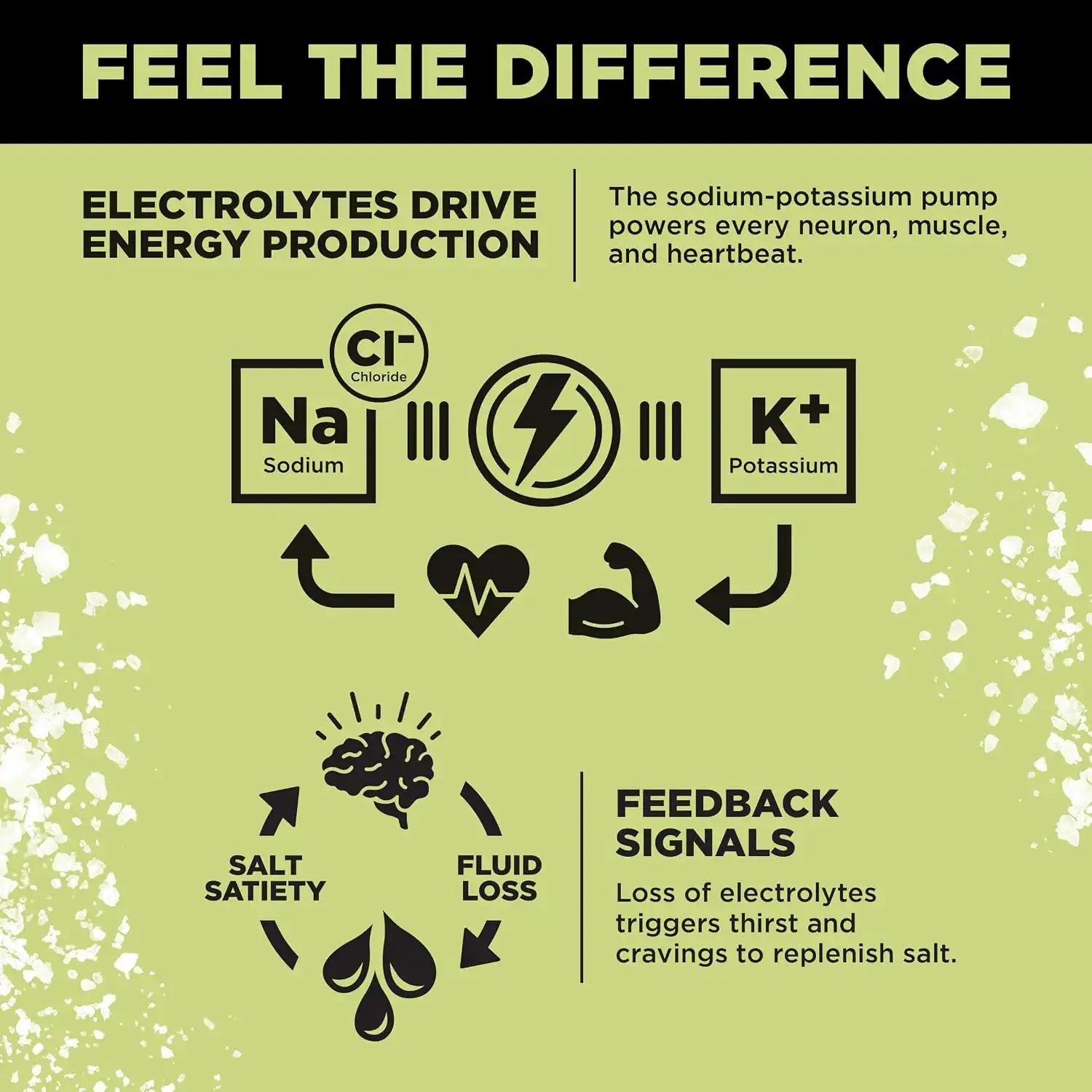  lmntfuel.com